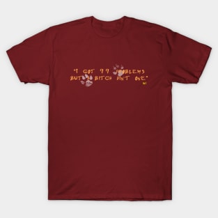 99 Problems T-Shirt
